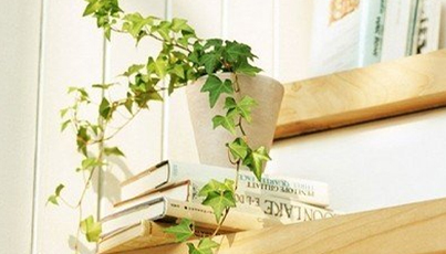 快訊｜發(fā)改委：鼓勵引導購買綠色節(jié)能家電、環(huán)保家具等家居產品